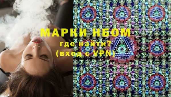 индика Баксан