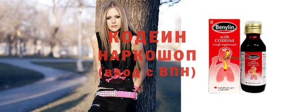 индика Баксан