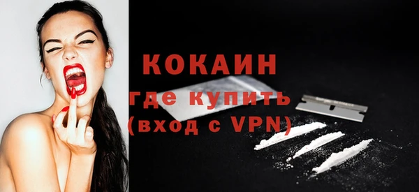 индика Баксан