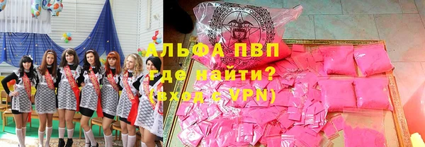 индика Баксан