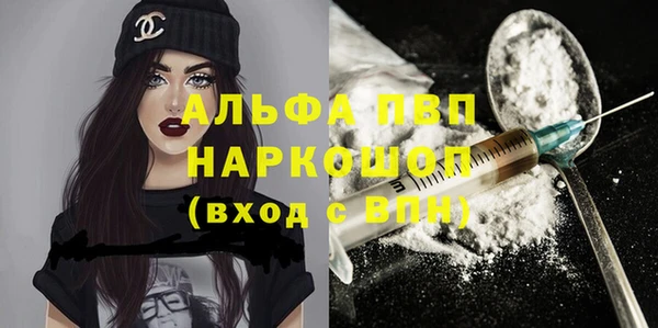 индика Баксан