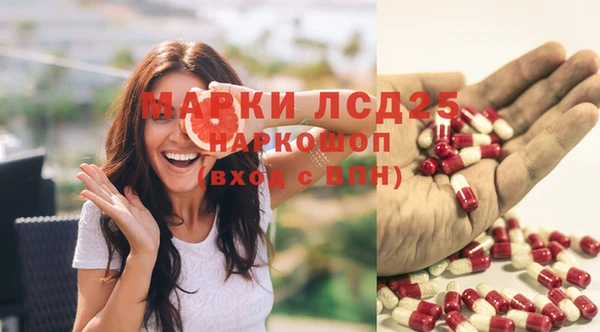индика Баксан