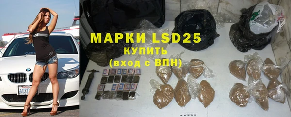 индика Баксан