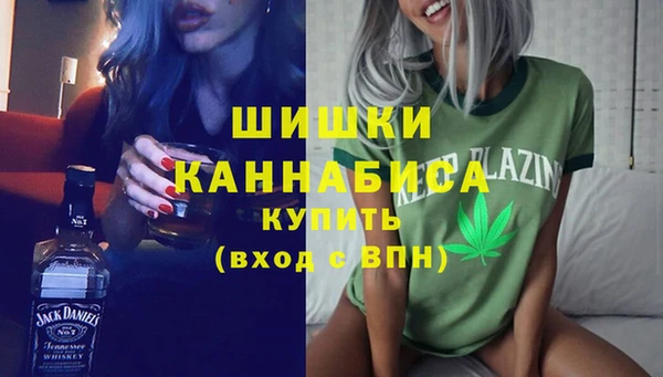 индика Баксан