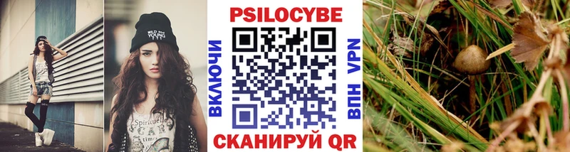 наркотики  Бобров  Псилоцибиновые грибы Psilocybe 
